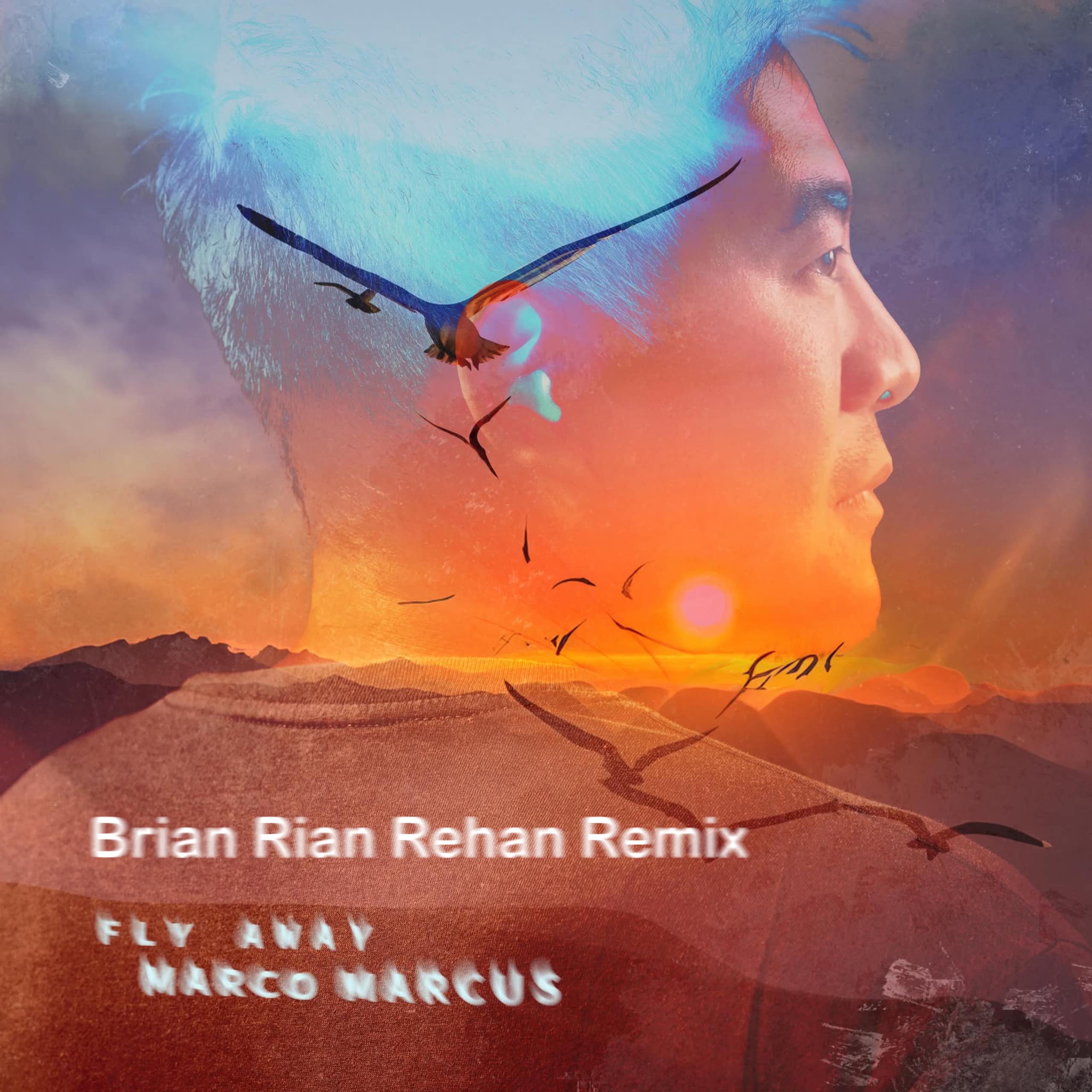 Fly Away (Brian Rian Rehan Remix)